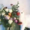 サービス比較！花のサブスク（お花の定期便）で500円から花のある暮らしを始めよう