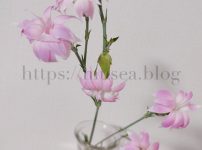 スプレーカーネーション（スターチェリー）の花言葉・由来・原産地・英語名・切り花の水の量